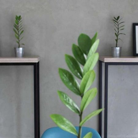 Casa Living Setiabudi ג'קרטה מראה חיצוני תמונה