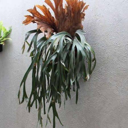 Casa Living Setiabudi ג'קרטה מראה חיצוני תמונה